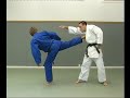 Jujitsu Progression par ceinture