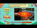 40 Fascinating Animal Facts: True or False? | Fun Quiz Challenge