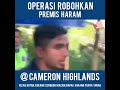 Kecoh Penguatkuasa Roboh Kebun Di Cameron Highlands