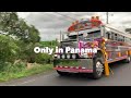 Panama bus