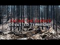 DEVASTED TERRITORY  - Music by Erwan COIC