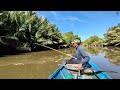 Testing using a Tegek fishing rod, the first strike was immediately struck by the Barramundi fish