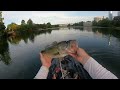 Targeting Schooling Fish on Lady Bird Lake