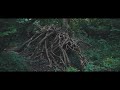 Sony A7SIII S-Cinetone - Lost in the forest Ireland 4k.