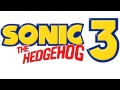 Special Stage   Sonic the Hedgehog 3 & Knuckles Music Extended [Music OST][Original Soundtrack]