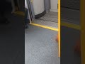 Sydney Trains Door craziness newest Waratah Fleet B-Set with problems