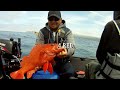 HMB PORTA BOTE BAIT BALL 7-31-2014