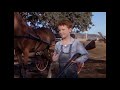 The Red Pony | ROBERT MITCHUM | Western Movie | Drama | Family | Classic Cowboy Film