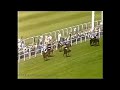 Royal Ascot 1986 Day 2 First 4 Races on The Card.High Quality Recording.Horse Racing Legends.