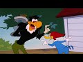 Woody Woodpecker Show | Bad Weather | Full Episode | Videos For Kids