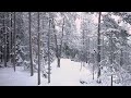 45 minutes of Relaxing Forest Walks in Snow, Finland - Slow TV 4K
