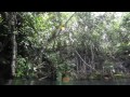 Cenote Angelita: 