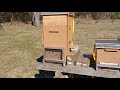 7 of 9 Hives are Still Alive!