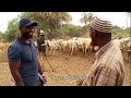 The Fight For Water - Kenya's Cattle Wars - Part 1 | Giving Nature A Voice | Free Documentary Nature