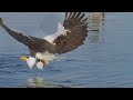 🦅 Лео Рохас -  Полёт кондора 🦅 Leo Rojas -  El Condor Pasa 🦅