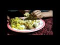 Traditional Khasi Food Japih|Tit(Mushroom 🍄)Ashar Sohphie🤤🤤🤤