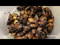 Roasted Butternut Squash Seeds / Graines de courge musquée rôties