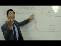 This Video Will Change Your Life FOREVER! (Hebrews 11:7-11) | Dr. Gene Kim