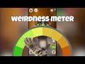 I played weirdest cat games so you don't have to