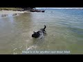 Taroona Foreshore walk near Hobart