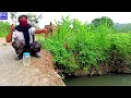 Just enough fishing in the ditch || Micro Fishing @emasyahyachannel