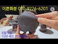 8월 3일 #이쁜화분 823번째 화분이야기 (휴가 가기전 대박 세일)