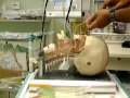 ~Tulip airway mannequin training video