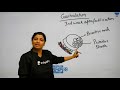 L13: Gastrulation and Parturition | Complete NCERT Review for Boards | Pre-medical - NEET/AIIMS