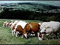 A West Country Farm