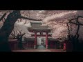 Japanska Muzika sa Flautom Kompilacija | Podstakni Produktivnost | Japanska Basta Ambient sa Pticama