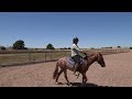 Horse Training 6th Ride On My Brumby