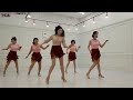 [예주쌤라인댄스]평행선 라인댄스 Parallel Line Dance 하이비기너