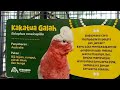 Aviary  yang ada diSuraloka  kaliurang