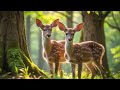 Stop Overthinking 🌿 Beautiful Relaxing Music for Stress Relief, Mindful Escapes, Calm Your Mind