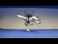 Taekwondo Back Kick Tutorial | GNT How to