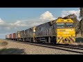 Australian Trains - Aurizon's Return To Intermodal In NSW, 5 Locos On SSR Grain, Drone Footage