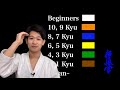 What Is The Correct Karate Belt Order? Belt Colors & Levels