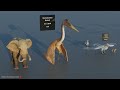 FLYING Creature Size Comparison | 3d Animation Comparison (60 fps)