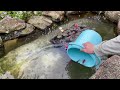 I drained all the water from my parents' pond! The goldfish that survived