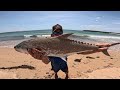 Walking the reef at low tide..Site casting big Queen Fish..