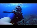 Drift Dive - Mangrove Point Nusa Lembongan