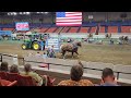 Bluegrass Horse Pull Heavyweights at Kentucky State Fair September 2023