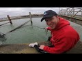 Sea Fishing UK - LRF Fishing At Newhaven Harbour Catching What We Can In These Terrible Winds