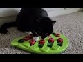 Cat Treat Puzzle