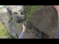 Jed Taylor on Central Climb, VS, 4c at Almscliffe Crag, UK  4th August 2013