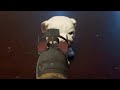 beatboxing puppy in stop motion (loud warning i guess)