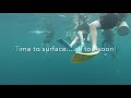 My St Lucia scuba dive 2017