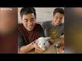 Zach King Magic Trick Ever Show - Best Magic Vines of Zach King HD #2