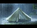 Defeat Insomnia in 3 Minutes with Strong Rainstorm & Powerful Thunder Sounds on Tent Roof at Night