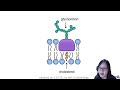 Chapter 4.1 - Cell Membrane Structure and Function | Cambridge A-Level 9700 Biology
